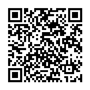 大地族修士扬在半空中的手腕猛然被一只大手给握住二维码生成