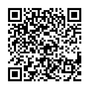 大地族这二十几个圣级就真的能够将所有的上元大陆修士斩杀二维码生成