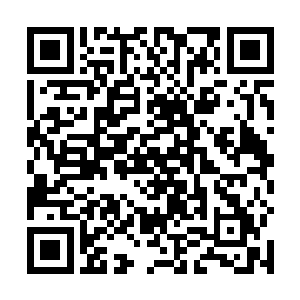 大地都被这恐怖到极致的冲击裂开了一道道可怕的纹路二维码生成
