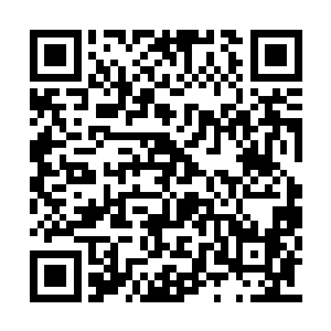 大夏国乃至周边最珍贵的元石将在这里一一呈现二维码生成