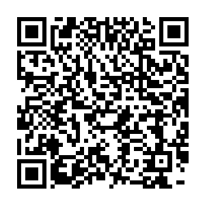 大多只不过是太夏豪门望族在朝桑次大陆上的看门狗和利益代理人二维码生成