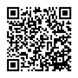 大多数时候秦洛都会选择使用王修身老师传授给他的二维码生成