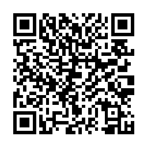 大多数盗贼在初期甚至都只能在团队中充当经验宝宝的角色二维码生成