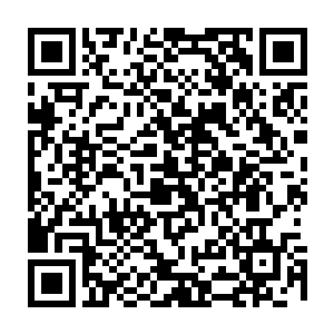 大大大……大侠……小的已经按照您的吩咐做了……您……您放了小的行吗二维码生成