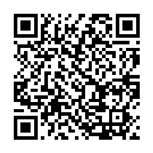 大大的漂亮眼睛都因为尖叫而变成了让人发笑的三角眼二维码生成
