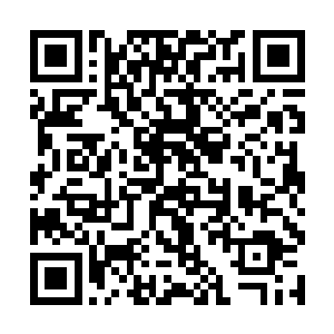 大妹子与陈阿林都看出了清军被招降只是个时间问题二维码生成