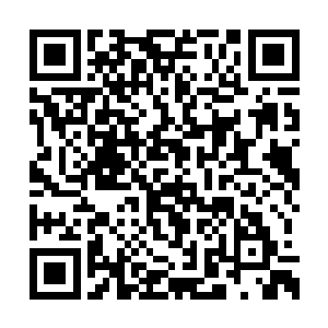 大家不都是看着兽神大人带着龙战他们飞走的吗二维码生成