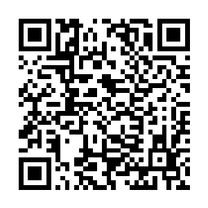 大家也不是没有怀疑过这一点所以在天道的离开之后二维码生成