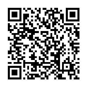 大家也会七嘴八舌猜测大人带着这么庞大的机关兵团二维码生成