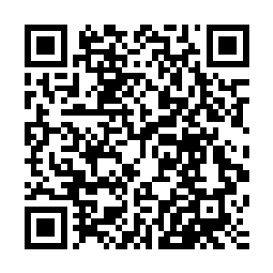 大家也猜到她是有什么特殊的方式才能看到别人看不到的东西二维码生成