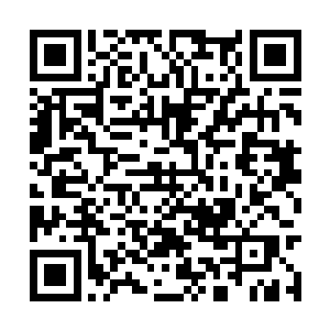 大家全都知道当初千修士和楚修士先闯入一层宝殿二维码生成