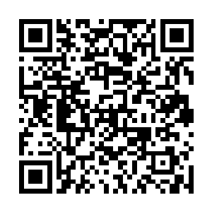 大家努力拼搏无非就是为了活着的时候有个家可以扎根二维码生成