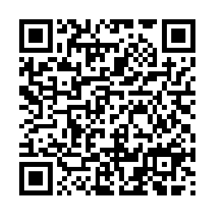 大家可以从容不迫地应对各种突发事件和紧急情况二维码生成