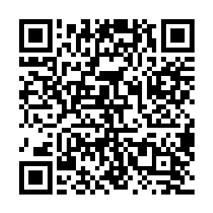 大家可以在罗姆拉比索女士的雕像上看到最终成品的书籍二维码生成