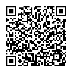 大家听到的就是类似这样从对讲机来传来的不断汇报搜索结果的声音二维码生成