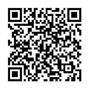 大家在家族之中的年底红包起码要比去年厚上三分之一二维码生成