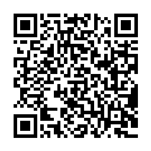 大家平时在画面上只能看到文森特一个人的装备栏和经济情况二维码生成