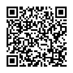大家才明白之前斯科拉里所说的顶多还有一两个人需要考察二维码生成