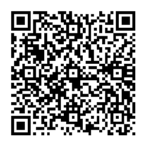 大家更加关注的是你的父亲乔远帆和以维克托教授为首的乔尔――布特小组之间的抗衡二维码生成
