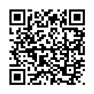 大家的支持就是老牛前进的最大动力二维码生成