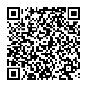 大家看热闹一般地看着那些守在接机大厅门口等各处的摄影机和记者们此时此刻二维码生成