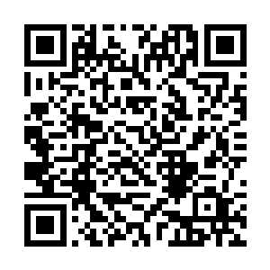 大家看见镇上的干部和两个不认识的人进了食堂大厅二维码生成