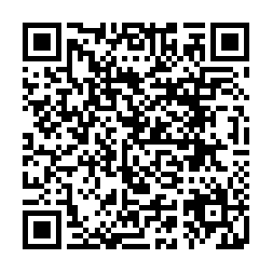 大家自行脑补霍比特人里的李佩斯就行啦……反正椰子也参照了他来设计二维码生成