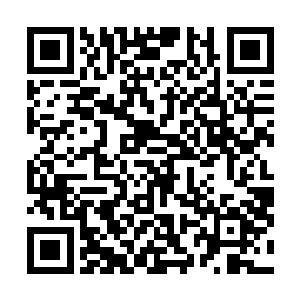 大家虽然不知道叶秋为什么不让他们现在去找夏儿和白面二维码生成