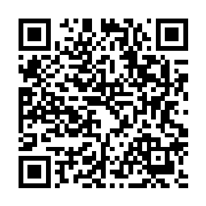 大家还想从同班的业内翘楚嘴里听到一些有启发的心得观点二维码生成