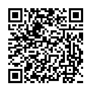 大家还是早点休息明天看~~夜猫子的亲可以等等看……二维码生成