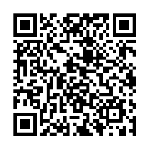 大家这几天一直百思不得其解的问题终于找到了答案二维码生成