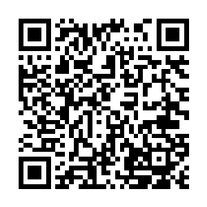 大家都以为他们的师傅只是在铁龙号上闭关了几天二维码生成