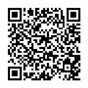 大家都十分清楚转轮星域和归墟之主之间的渊源二维码生成