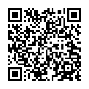 大家都纷纷低头检查手里每天唯一的一个白面馒头二维码生成