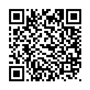 大小刚好供一名身穿晶铠的人钻出去二维码生成