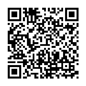 大小姐您这边请……董事长办公室一直都是空着二维码生成