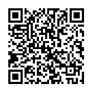 大少爷怎么能让一个刚来的心怀不轨的人来身边伺候呢二维码生成