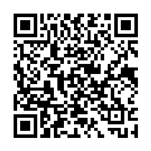 大山三郎也是感觉自己的脑袋有那么一些疼痛难忍二维码生成