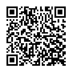 大巫师害怕贺兰婧跟着他吃苦就将她带去了玄巫大陆二维码生成