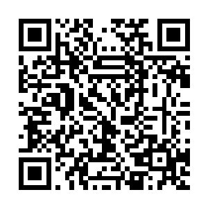 大帝功法1变实力=黑铁9次强化+进阶大地强化+大地骑士1次强化二维码生成
