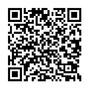 大意之下被仅次于自己一筹的强者全力一击击中二维码生成