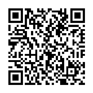 大把大把的头发随着她的疯狂自贺兰氏头皮上脱落二维码生成