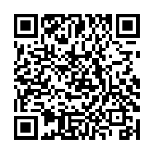 大树干枯的枝干就像是一双双无助的双手伸向了天空二维码生成