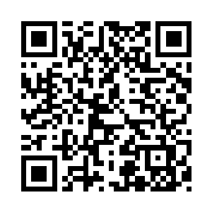 大梦应该可以下个结款季度拿到2亿的回款二维码生成