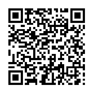 大梦现在起码在金钱上已经有了上一个台阶的能力二维码生成