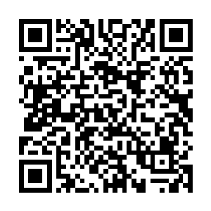 大梦该怎么发展到今天的程度――如果不是因为爱德华二维码生成