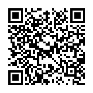 大梦起码要经过五年以上的酝酿才会慢慢步入正轨二维码生成