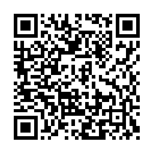 大楚水师副帅之一的宋元航就站在青衣儒士身旁二维码生成