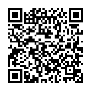 大概也忙碌了一天的小婵自夕阳那边的院门中小跑出来二维码生成