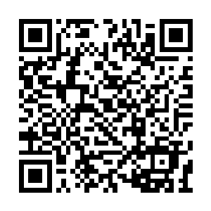 大概也没有人想到她什么也不了解就敢进阶的吧二维码生成
